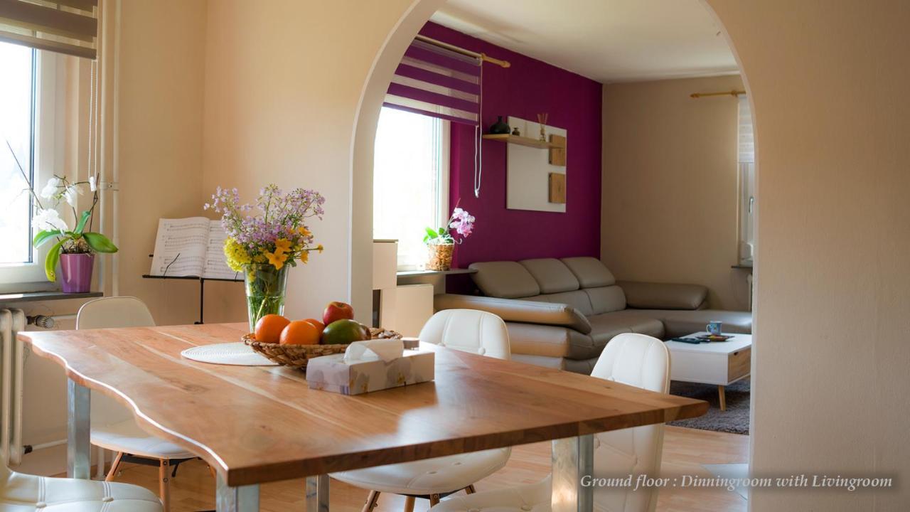 Entire House In Schwarzwald With Mountain View, Private Sauna, Gym, Garden And Terraces Unterkirnach Zewnętrze zdjęcie