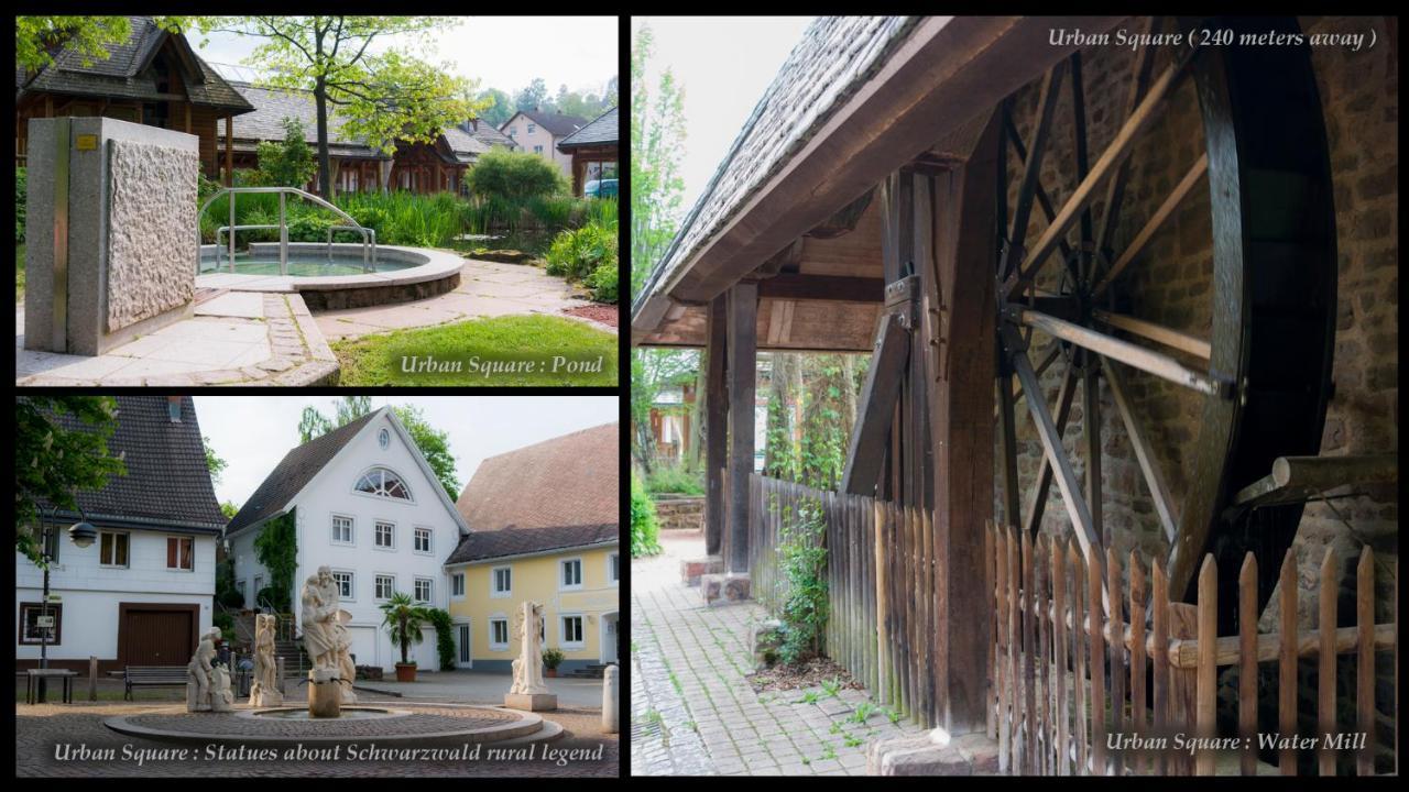 Entire House In Schwarzwald With Mountain View, Private Sauna, Gym, Garden And Terraces Unterkirnach Zewnętrze zdjęcie